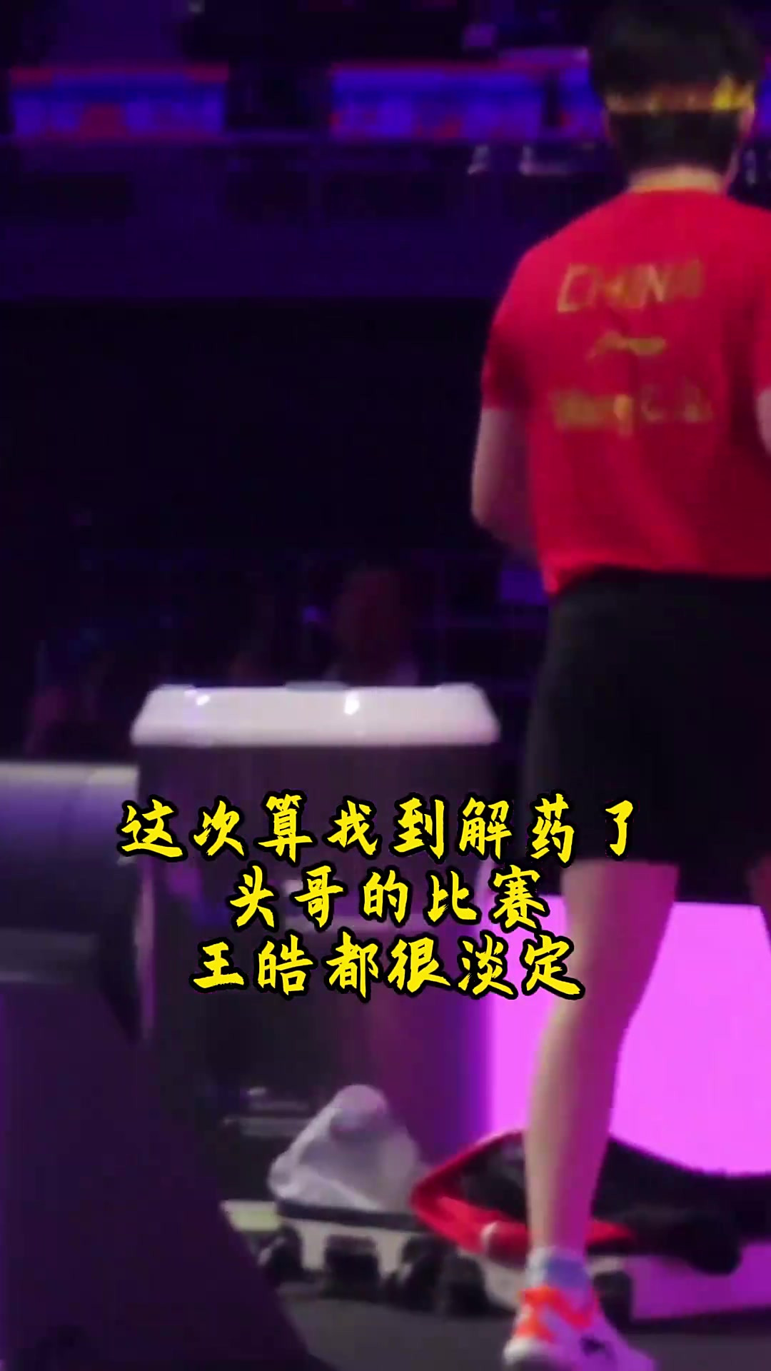 法国乒乓球队血洗波兰乒乓球队,王皓一己之力扛起全队的简单介绍 法国乒乓球队血洗波兰乒乓球队,王皓一己之力扛起全队的简单介绍