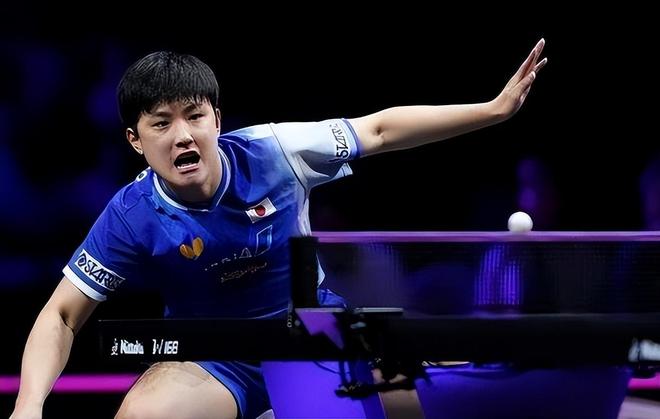 波兰队完胜日本队，张本智和状态火热